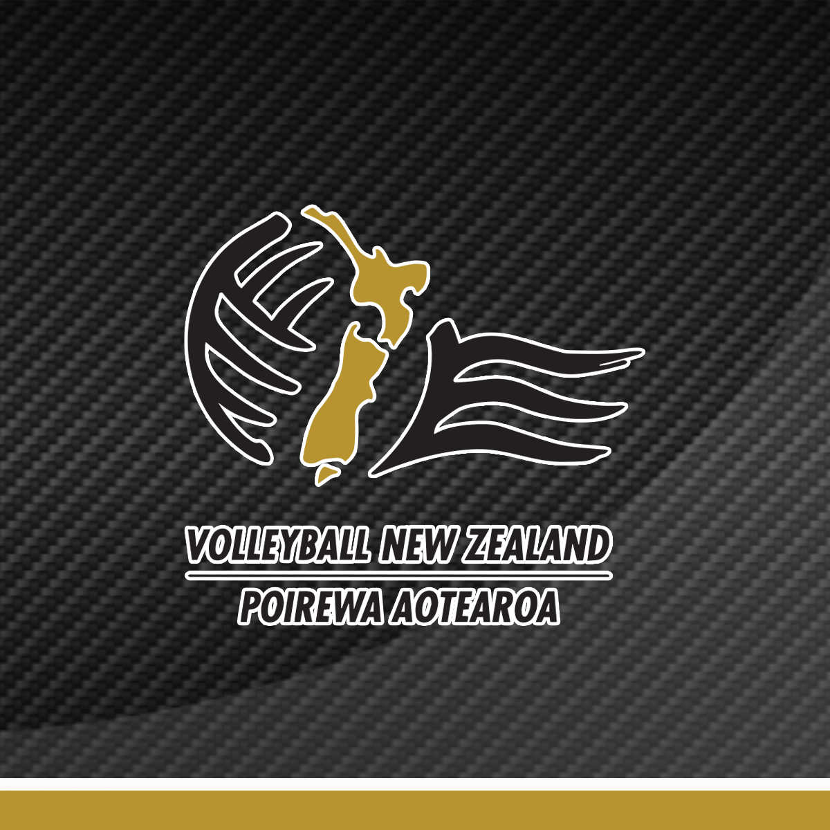 Volleyball New Zealand